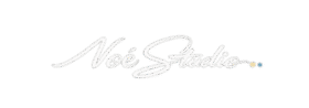 logo Noé Studio : Création de sites web
