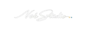 logo Noé Studio : Création de sites web